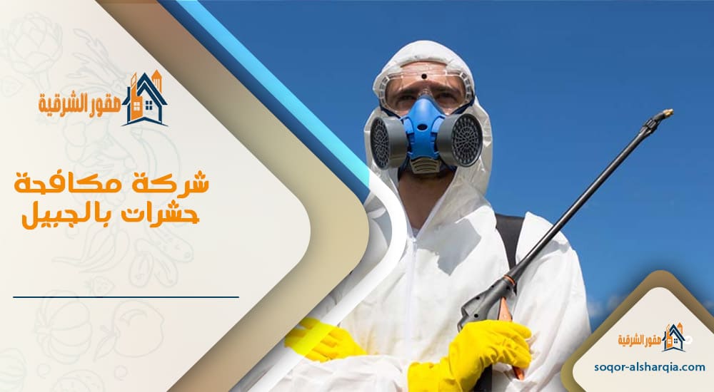 شركة مكافحة حشرات بالجبيل