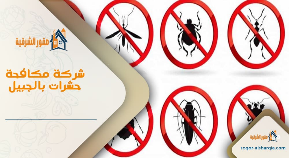 شركة مكافحة حشرات بالجبيل