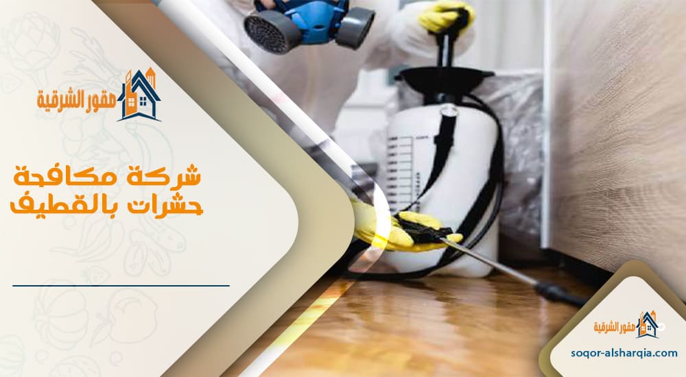 شركة مكافحة حشرات بالقطيف