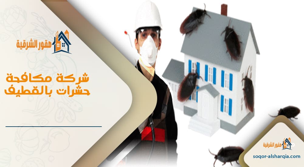 شركة مكافحة حشرات بالقطيف