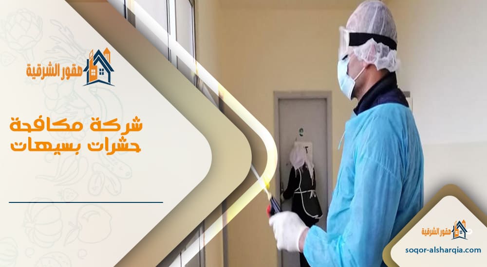 شركة مكافحة حشرات بسيهات